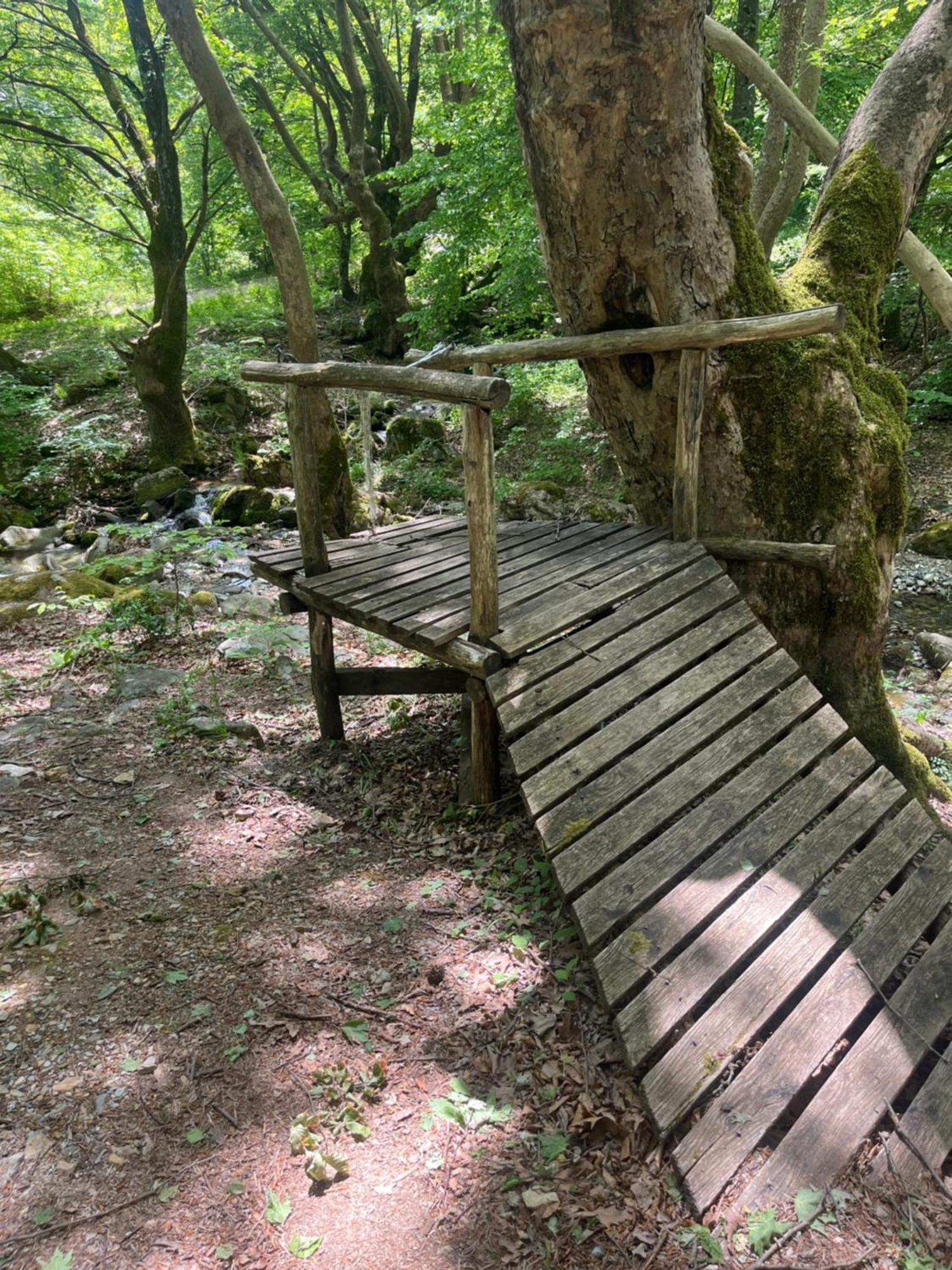 Elatovillage Elatochori Buitenkant foto