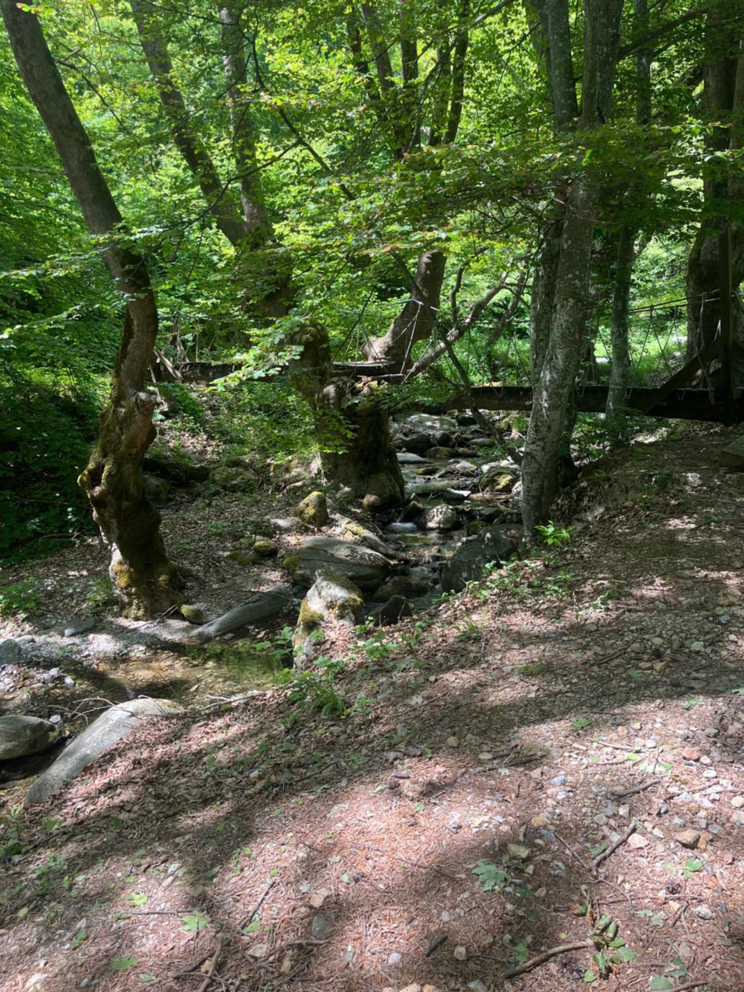 Elatovillage Elatochori Buitenkant foto