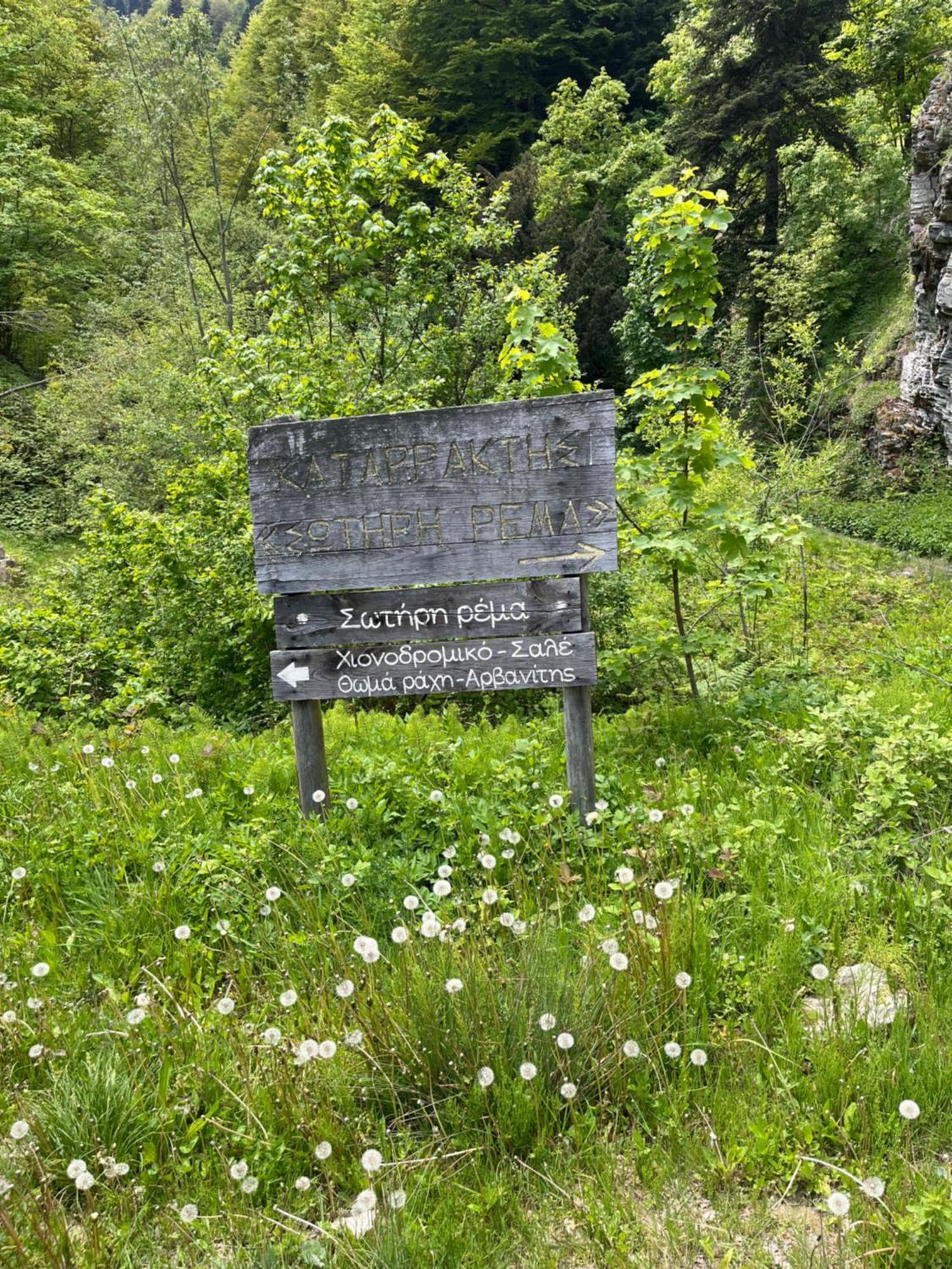 Elatovillage Elatochori Buitenkant foto