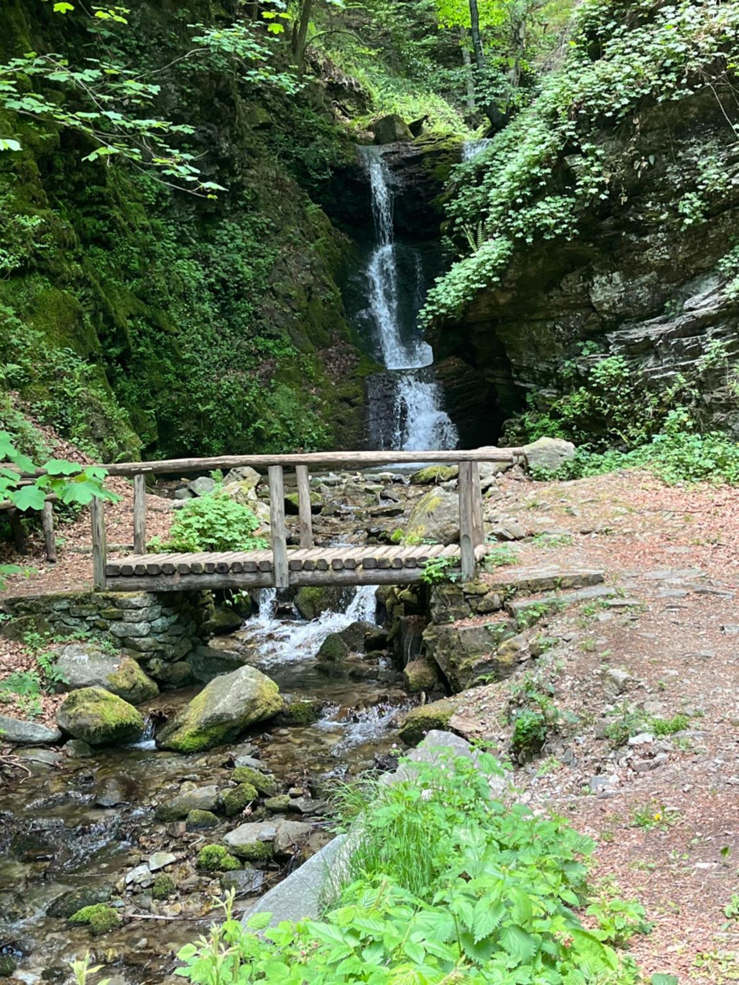 Elatovillage Elatochori Buitenkant foto