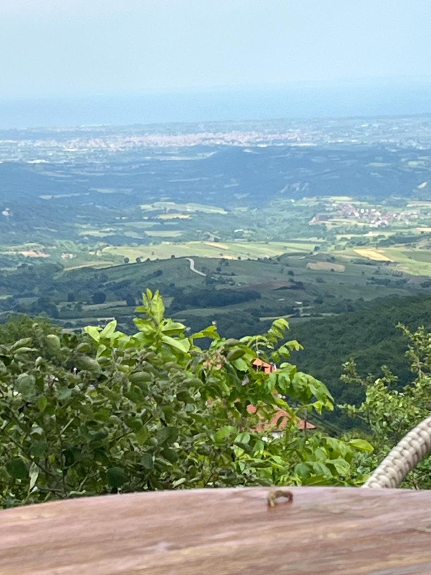 Elatovillage Elatochori Buitenkant foto
